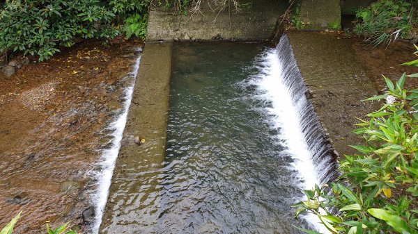 汐止和平鴿健走○型路線實錄2882070