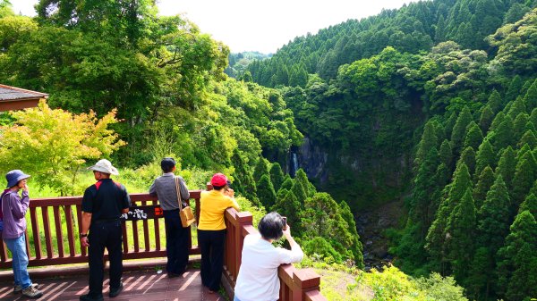 南九州－和氣神社,犬飼瀑布3064015