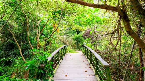 大社觀音山2954787