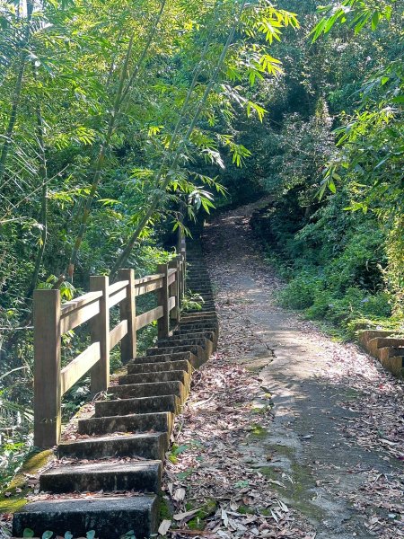 水沙璉古道輕鬆走2595176