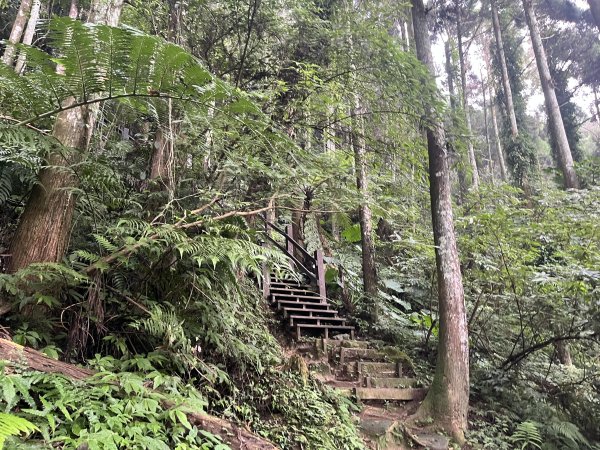 [皮皮獅Hike客任務-03/10] 2024_0720 五指山橫向登山步道2557169