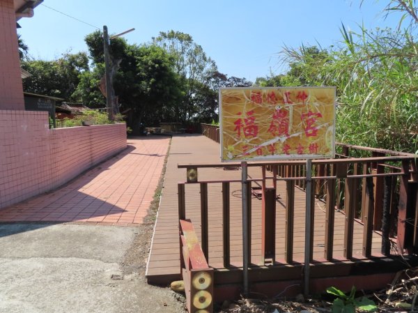 南投草尾嶺步道(賞血藤花)3031449
