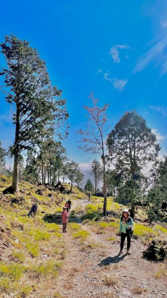 三星山(小百岳#85) 鳩之澤溫泉煮蛋趣2952836