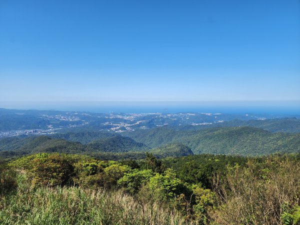 20250322-姜子寮山2739999