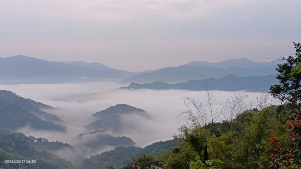 石碇趴趴走追雲趣-差強人意的日出&雲海3/172454786