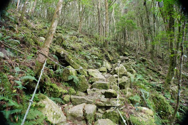 臺中 和平 橫嶺山、沙蓮山、笛吹山2974924