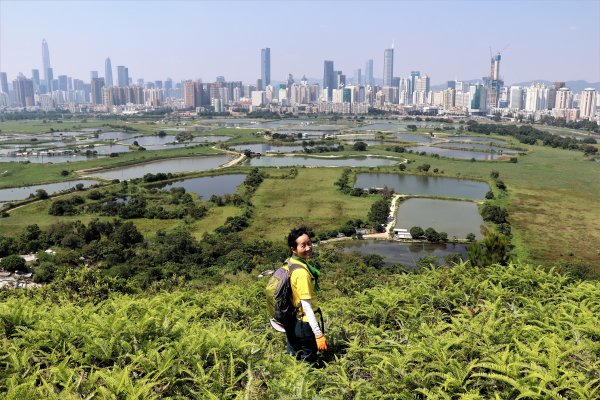 HK - 鐵坑，蛇嶺1268063