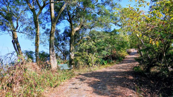 南化刣牛湖山2987509