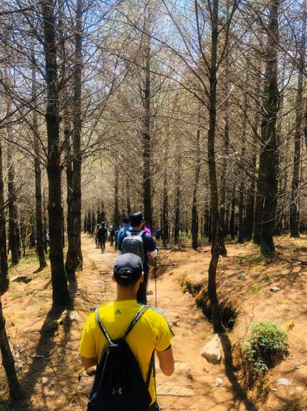 1090413中之關天池-初嚐梅子雞940900