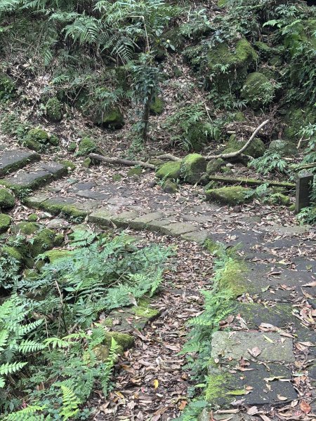 陽明山東西大縱走-西段3016187