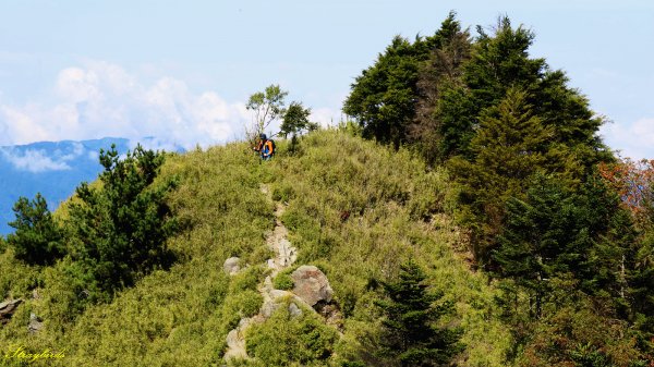 眺望玉山群峰最佳角度~郡大山701939