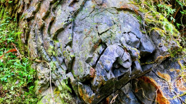 油羅山(一上三下)2959199