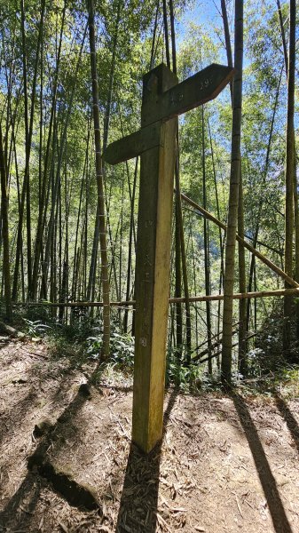 【四大天王山O型縱走未竟之旅：封山中的靜謐與省思】解鎖嘉義竹崎四大天王山、知鳥山。2929905