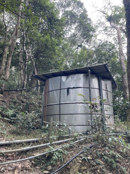 藤枝山&鳴海山2964413