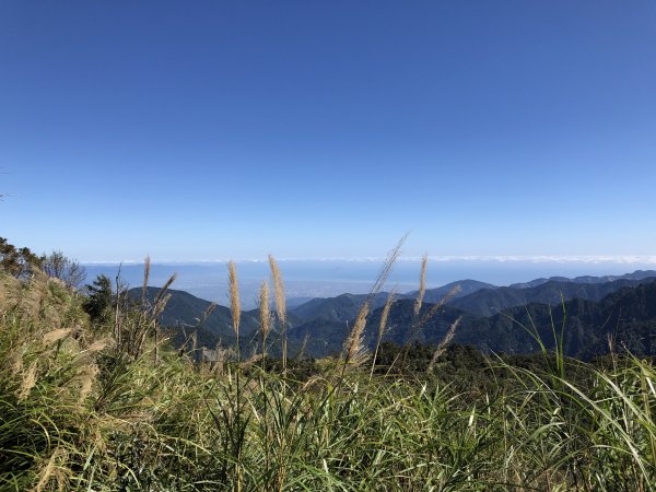 漫步探訪台灣山毛櫸國家步道965884
