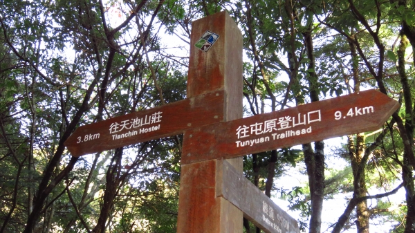 超越自我奇萊南華行24208