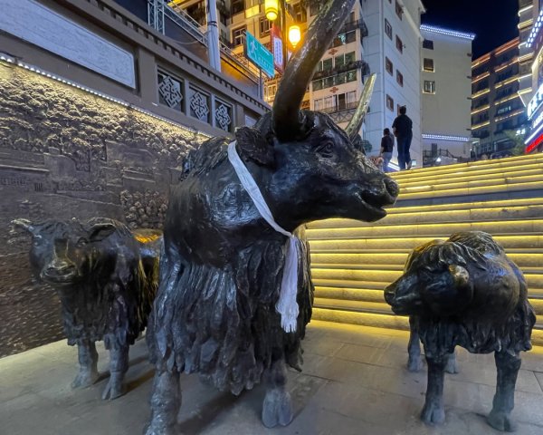 川藏深度之旅33天/A行程2901363