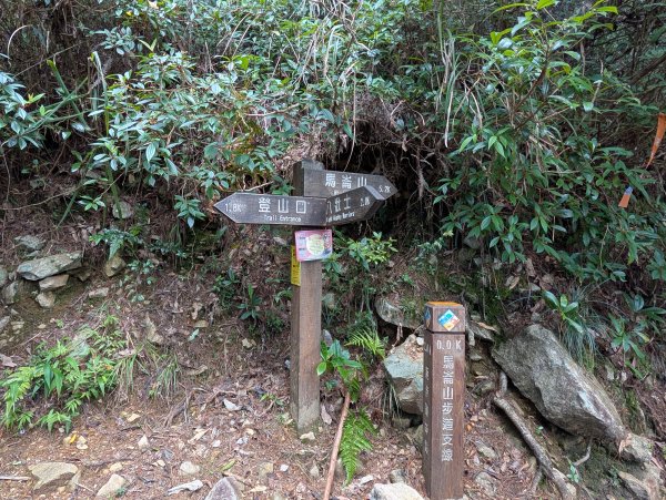 孕婦第一次的谷關七雄馬崙山2991634