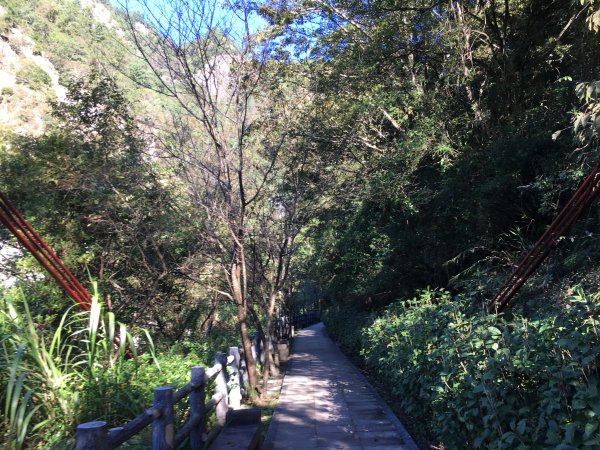 20161119_谷關七雄之四-波津加山873753