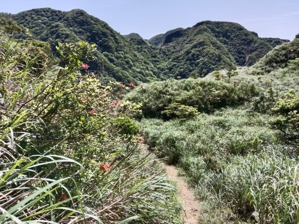 雙溪區不厭亭+牡丹山+樹梅坪+鷹石岩山神廟+不厭亭+奉憲示禁碑+三貂崙+不厭亭8字走2766239