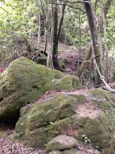 平溪區三功大厝+番子坑山+千階嶺步道O型2781181