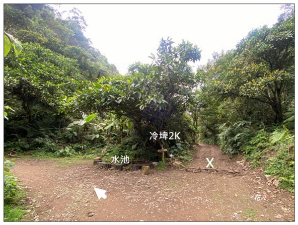 冷埤、粗坑山、血藤之旅3020368