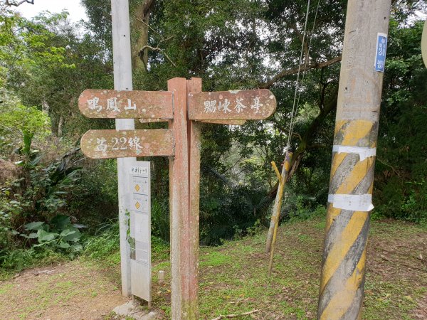 水寨下古道帽盒東山蕃子寮山1620744