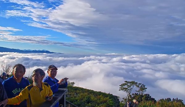 阿里山 #隙頂二延平 #頂石棹 #觀音圈 #雲海 #琉璃光 #雲瀑 #霧虹 11/172649816