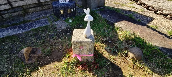 通霄神社+虎頭山公園-2025/11/152939314