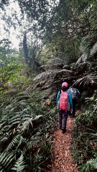 🌈10/19（日）雙石縱走（石牛+石門）✨FB：熊熊趴爬走🌈2921469