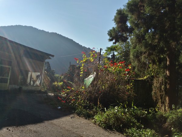 奮起湖~大凍山~霹靂山~雲之道~櫻之道~封面