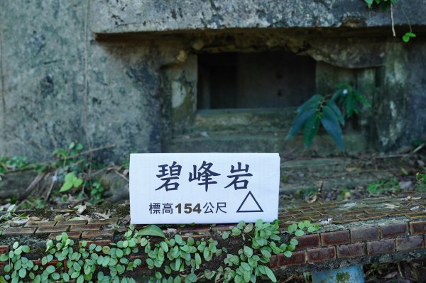 新北 瑞芳 龍潭山、瑞芳山、秀崎山、碧峰岩、白象山2661571