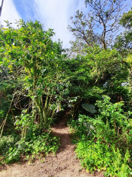 石碇鱷魚島-草湳二格山封面