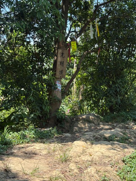 微笑山線：烘爐地3095072