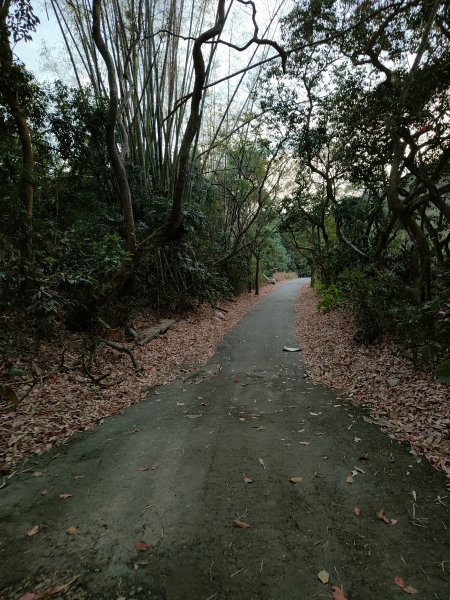 松柏嶺登廟步道2372054