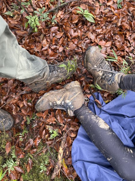 山毛櫸掉光光的 卡保逐鹿O繞 202511152937468