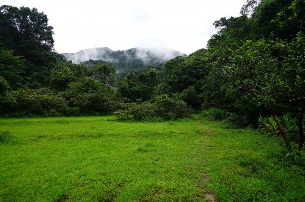 淡蘭古道中路O型988531