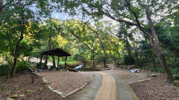 【田中秘境】田中大小劍+小奇萊O繞2719649