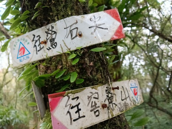 頭城鎮外大溪山+七兄弟山+窖寮山O型3016008