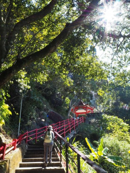 苗栗獅潭仙山步道O型20190212523900