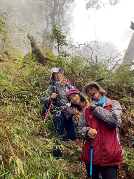 🌈1/18（日）忘憂森林×金柑樹山×溪頭天文台✨FB：熊熊趴爬走🌈2983949