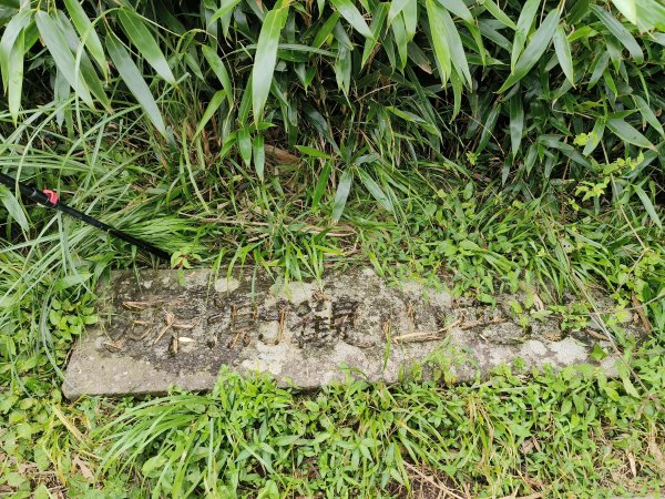 台北市-大屯山3054399