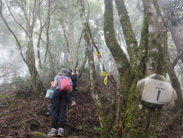 2025.07.05－高島縱走2828195