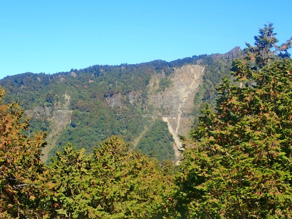 再訪眠月線 2019/11/23-24753027