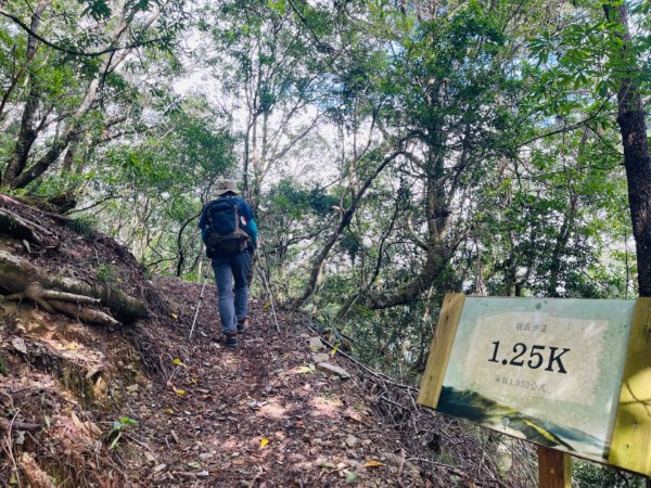 1140824司馬庫斯觀霸步道-賞楓步道2871110