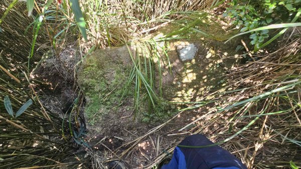 20250917七星山北北峰上北峰-主峰-南峰-摘星峰+紗帽山南峰2889405