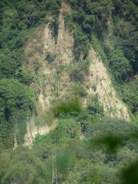 彰化南投-田中登山步道~茶香步道受天宮183001