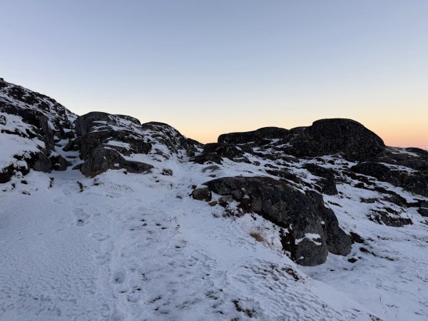 [紐約馬之行-41] 2025_1107 黃線步道-中2950618