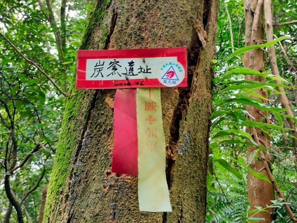 ［梅花四弄］（梅花山主，西，北，南峰）［雙溪山+內雙溪山+五指山西峰］［雙溪溝古道+石門嶺古道］2321817