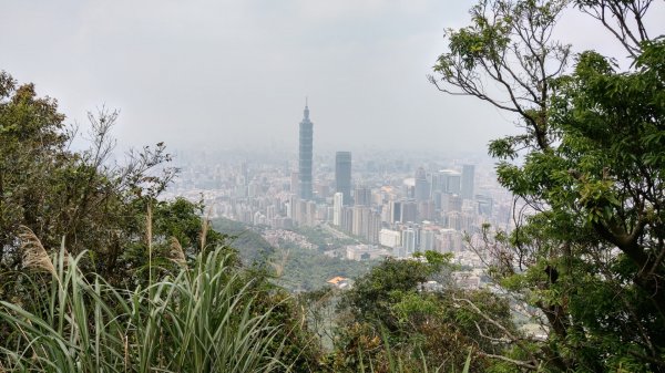 南港山縱走九五峰921026